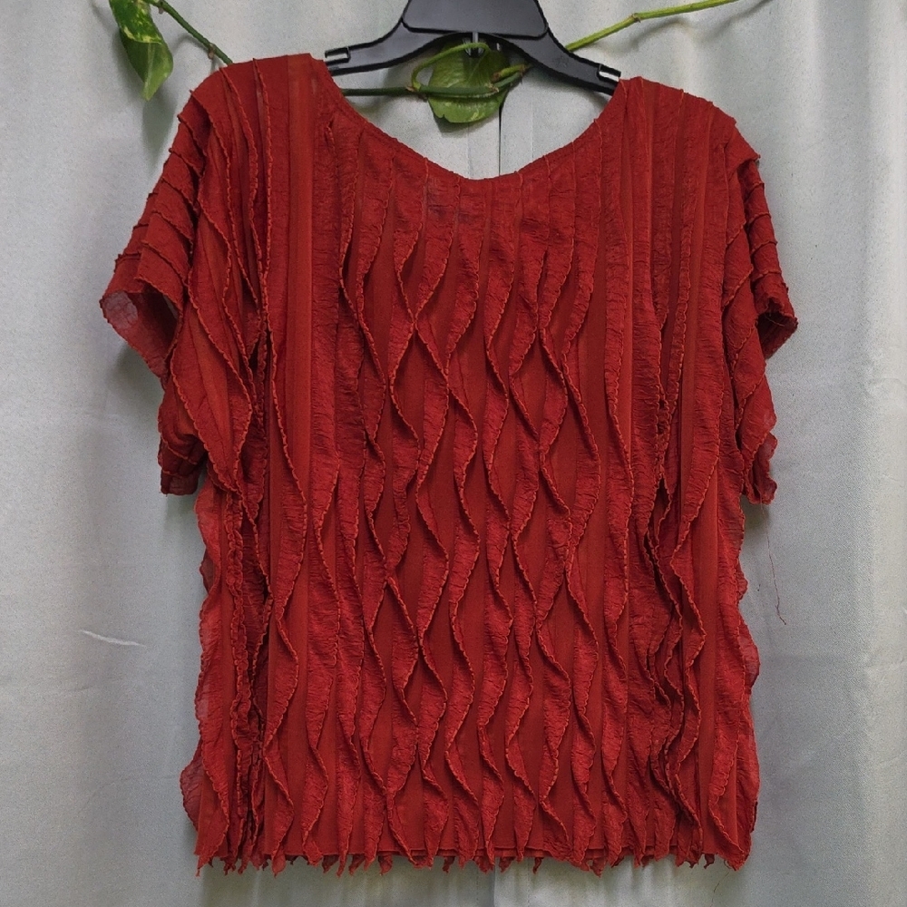 Sunny Leigh Red Textured Blouse - Picture 2 of 4